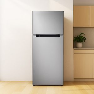 Refrigerator on Rent online Delhi Noida NCR