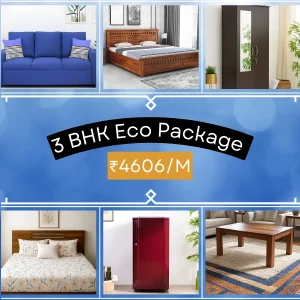 3 BHK Fully Furnished Flats for rent in Noida Delhi Gurugaon Faridabad